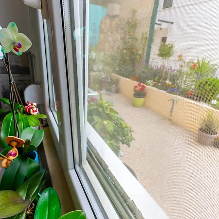 Apartment Nika *